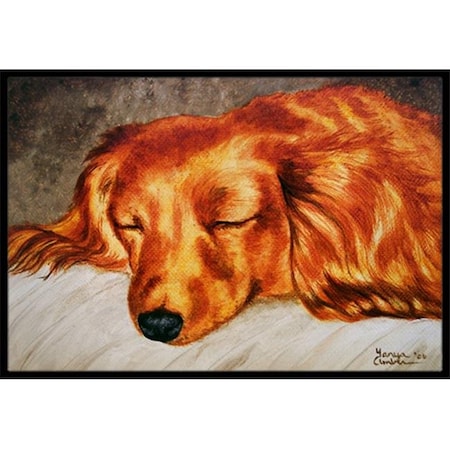 Carolines Treasures Carolines Treasures AMB1202JMAT Red Longhaired Dachshund Indoor or Outdoor Mat; 24 x 36 AMB1202JMAT